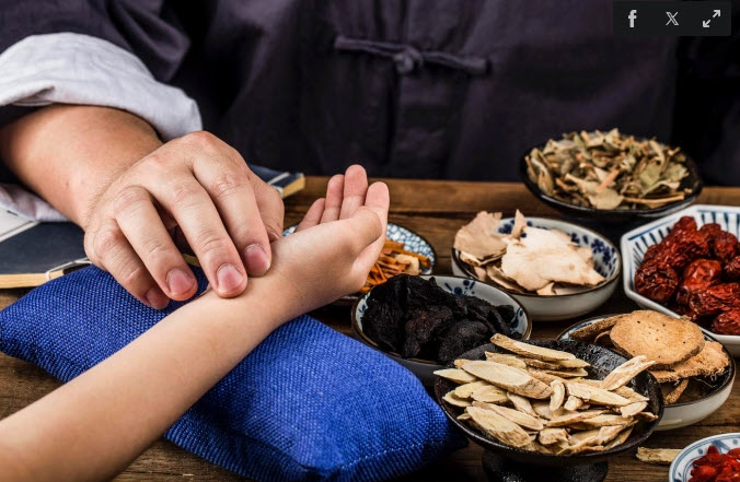 Bài thuốc Đông y hỗ trợ người mắc bệnh đường hô hấp